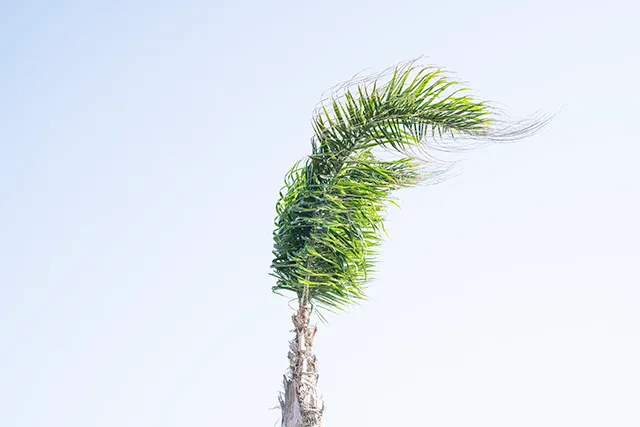 Stessa spiaggia, stesso mare (Same Beach, Same Sea) — 1